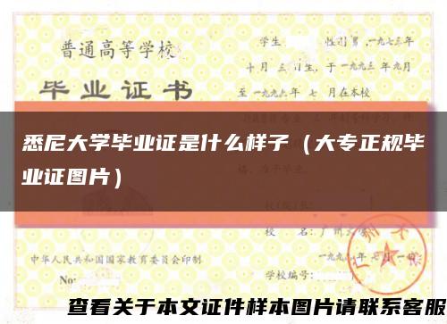 悉尼大学毕业证是什么样子（大专正规毕业证图片）缩略图