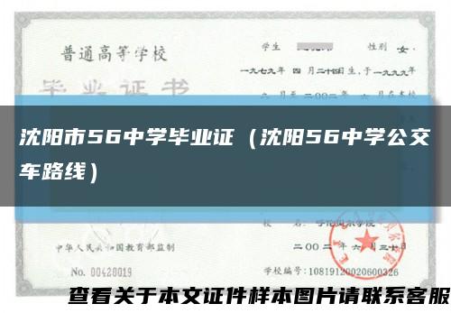 沈阳市56中学毕业证（沈阳56中学公交车路线）缩略图