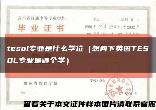 tesol专业是什么学位（想问下英国TESOL专业是哪个学）缩略图