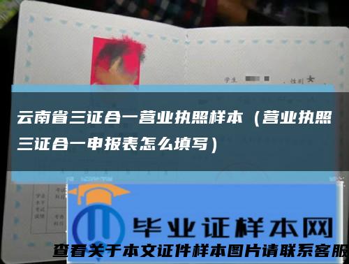 云南省三证合一营业执照样本（营业执照三证合一申报表怎么填写）缩略图