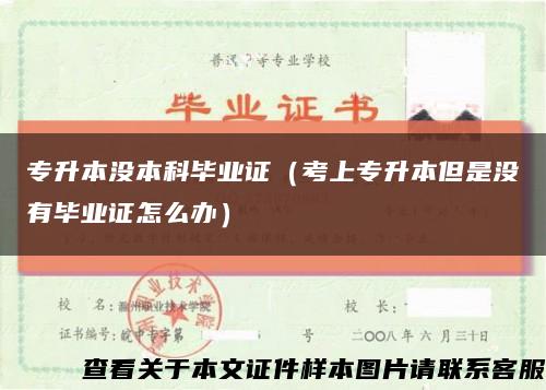 专升本没本科毕业证（考上专升本但是没有毕业证怎么办）缩略图