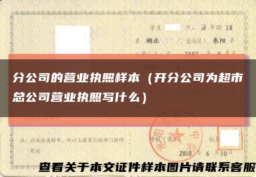分公司的营业执照样本（开分公司为超市总公司营业执照写什么）缩略图