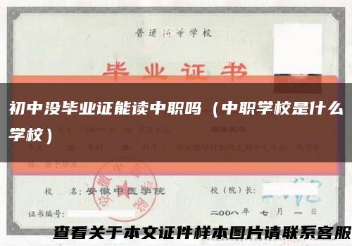 初中没毕业证能读中职吗（中职学校是什么学校）缩略图