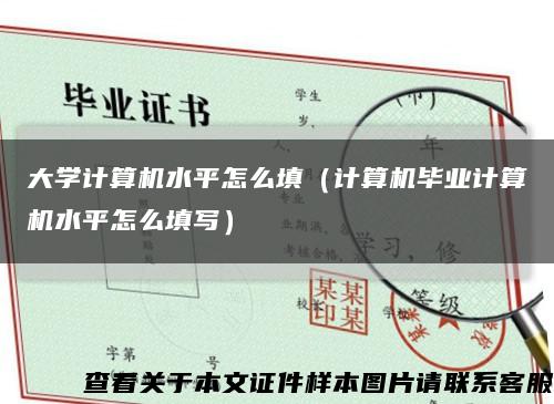 大学计算机水平怎么填（计算机毕业计算机水平怎么填写）缩略图