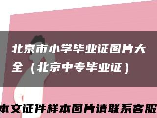 北京市小学毕业证图片大全（北京中专毕业证）缩略图