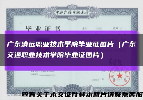 广东清远职业技术学院毕业证图片（广东交通职业技术学院毕业证图片）缩略图