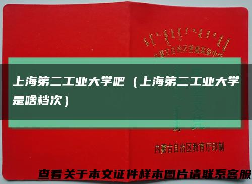 上海第二工业大学吧（上海第二工业大学是啥档次）缩略图