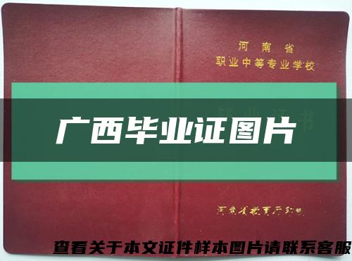 广西毕业证图片缩略图