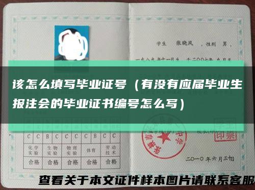 该怎么填写毕业证号（有没有应届毕业生报注会的毕业证书编号怎么写）缩略图