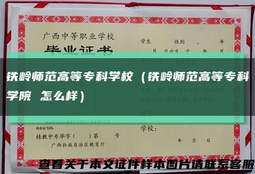 铁岭师范高等专科学校（铁岭师范高等专科学院 怎么样）缩略图