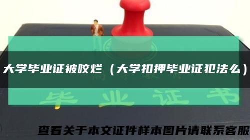 大学毕业证被咬烂（大学扣押毕业证犯法么）缩略图