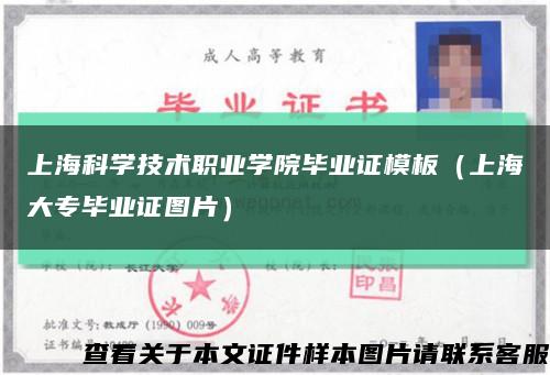 上海科学技术职业学院毕业证模板（上海大专毕业证图片）缩略图
