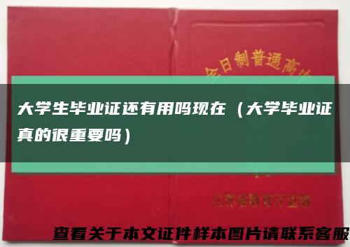 大学生毕业证还有用吗现在（大学毕业证真的很重要吗）缩略图