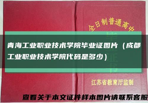 青海工业职业技术学院毕业证图片（成都工业职业技术学院代码是多少）缩略图