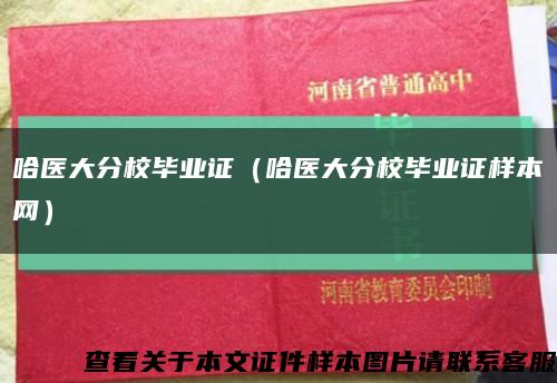 哈医大分校毕业证（哈医大分校毕业证样本网）缩略图