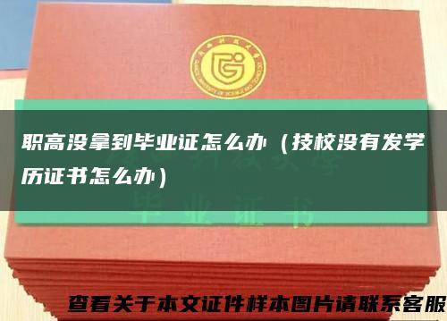 职高没拿到毕业证怎么办（技校没有发学历证书怎么办）缩略图