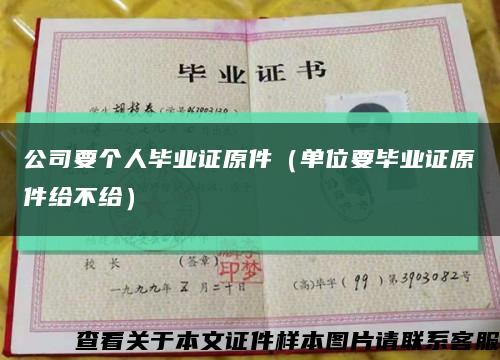 公司要个人毕业证原件（单位要毕业证原件给不给）缩略图