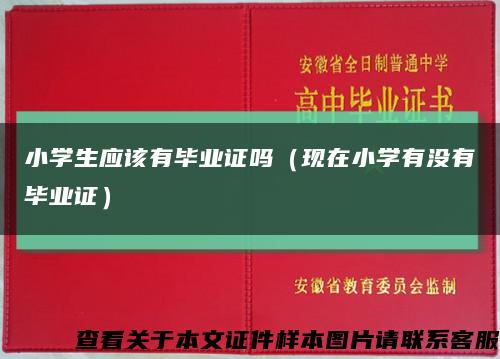 小学生应该有毕业证吗（现在小学有没有毕业证）缩略图