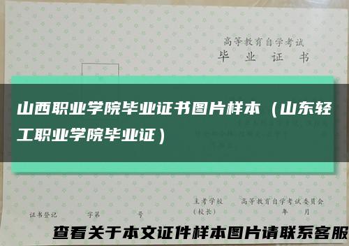 山西职业学院毕业证书图片样本（山东轻工职业学院毕业证）缩略图