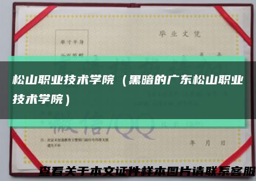 松山职业技术学院（黑暗的广东松山职业技术学院）缩略图