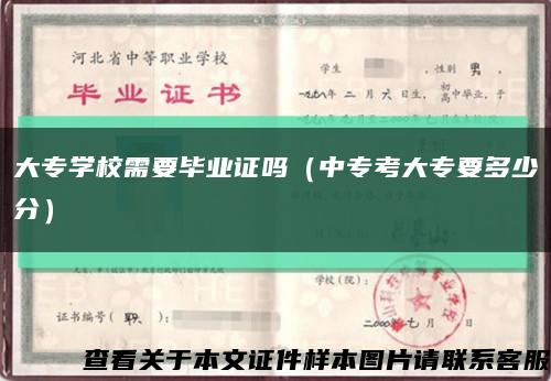 大专学校需要毕业证吗（中专考大专要多少分）缩略图