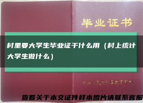村里要大学生毕业证干什么用（村上统计大学生做什么）缩略图