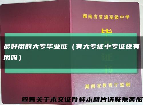 最好用的大专毕业证（有大专证中专证还有用吗）缩略图