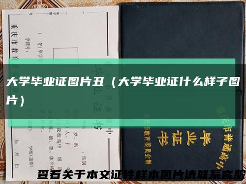 大学毕业证图片丑（大学毕业证什么样子图片）缩略图