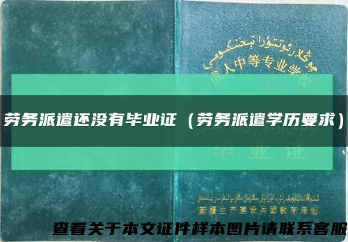 劳务派遣还没有毕业证（劳务派遣学历要求）缩略图