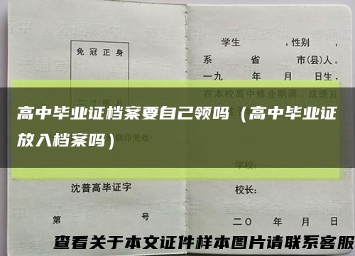 高中毕业证档案要自己领吗（高中毕业证放入档案吗）缩略图