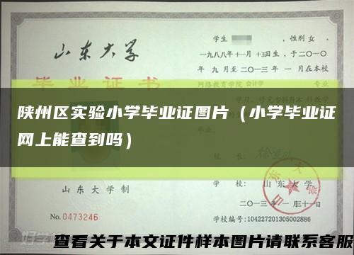 陕州区实验小学毕业证图片（小学毕业证网上能查到吗）缩略图