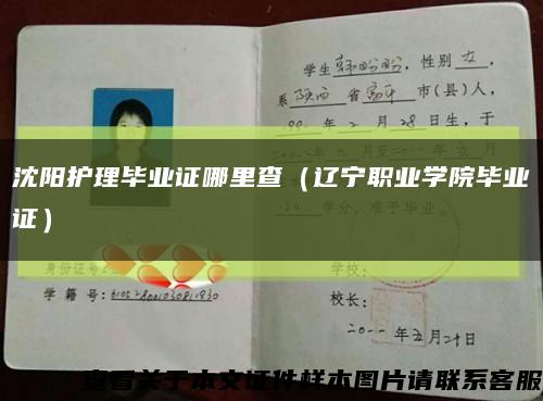 沈阳护理毕业证哪里查（辽宁职业学院毕业证）缩略图