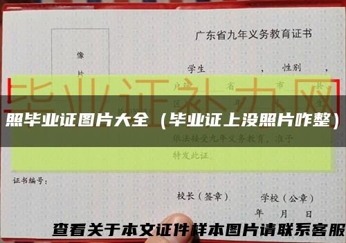 照毕业证图片大全（毕业证上没照片咋整）缩略图