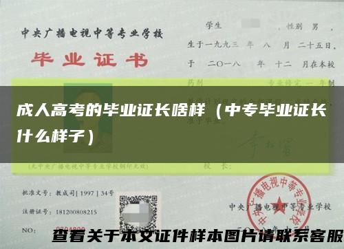 成人高考的毕业证长啥样（中专毕业证长什么样子）缩略图