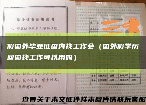 假国外毕业证国内找工作会（国外假学历回国找工作可以用吗）缩略图