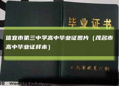 信宜市第三中学高中毕业证图片（茂名市高中毕业证样本）缩略图