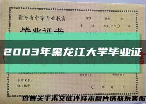 2003年黑龙江大学毕业证缩略图