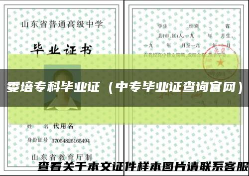 委培专科毕业证（中专毕业证查询官网）缩略图