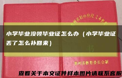 小学毕业没领毕业证怎么办（小学毕业证丢了怎么补回来）缩略图