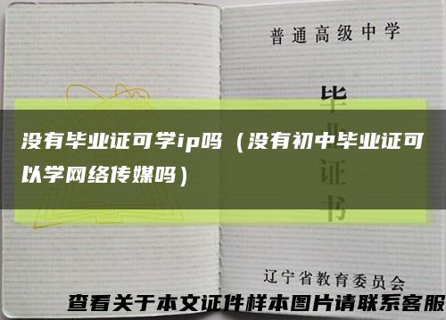 没有毕业证可学ip吗（没有初中毕业证可以学网络传媒吗）缩略图