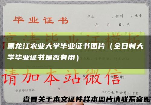 黑龙江农业大学毕业证书图片（全日制大学毕业证书是否有用）缩略图
