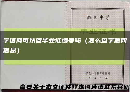 学信网可以查毕业证编号吗（怎么查学信网信息）缩略图