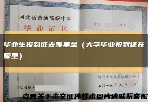 毕业生报到证去哪里拿（大学毕业报到证在哪里）缩略图