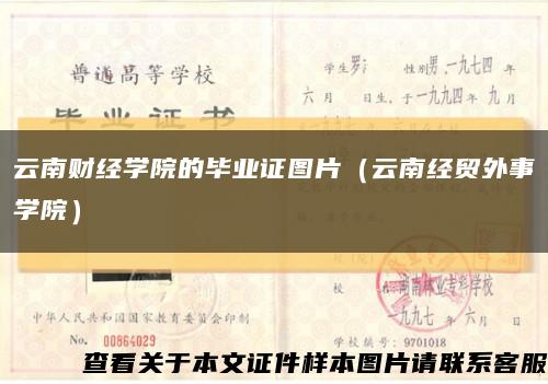 云南财经学院的毕业证图片（云南经贸外事学院）缩略图