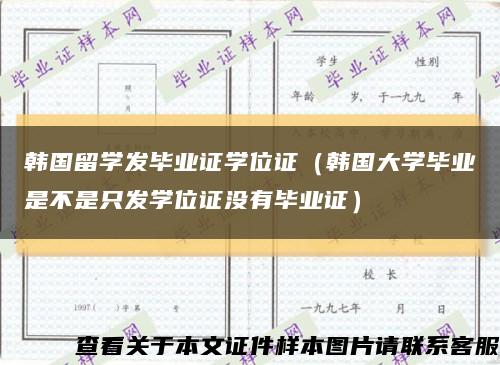 韩国留学发毕业证学位证（韩国大学毕业是不是只发学位证没有毕业证）缩略图