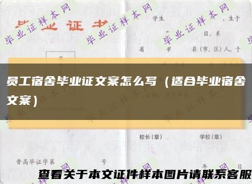 员工宿舍毕业证文案怎么写（适合毕业宿舍文案）缩略图