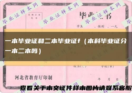 一本毕业证和二本毕业证f（本科毕业证分一本二本吗）缩略图