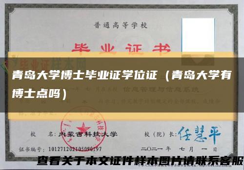 青岛大学博士毕业证学位证（青岛大学有博士点吗）缩略图