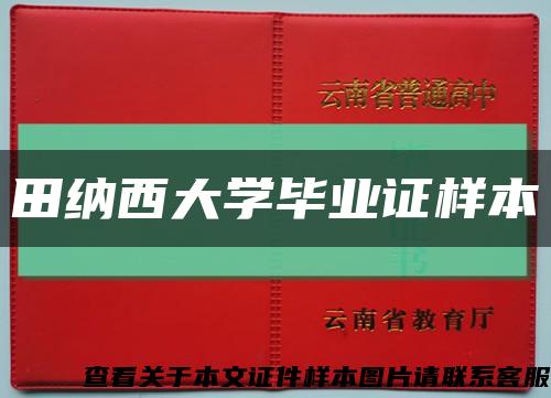 田纳西大学毕业证样本缩略图