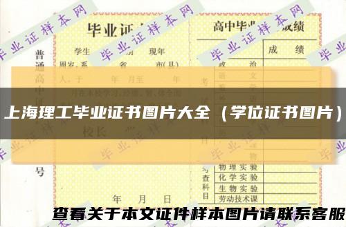 上海理工毕业证书图片大全（学位证书图片）缩略图
